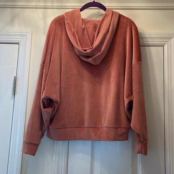 American Eagle Velour Hoodie - Picture 5 of 5